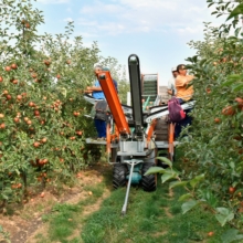 Macchine raccolta frutta/cereali