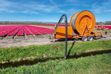 Agricultural sprinkler system pumping water from ditch to tulips